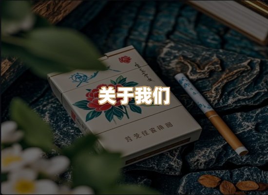 关于紫烟路烟网